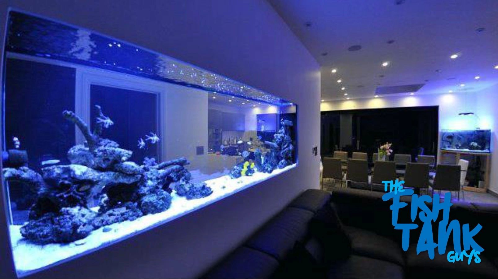 Types of Fish Tanks The Fish Tank Guys